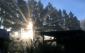 Funny-Farm